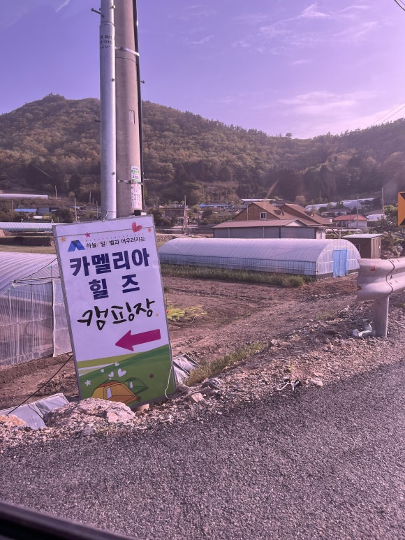 진도카멜리아힐즈오토캠핑장 이미지
