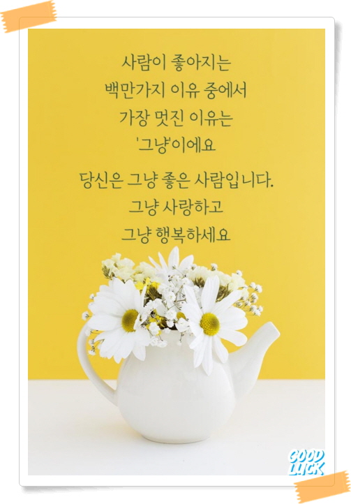 과일세상 이미지