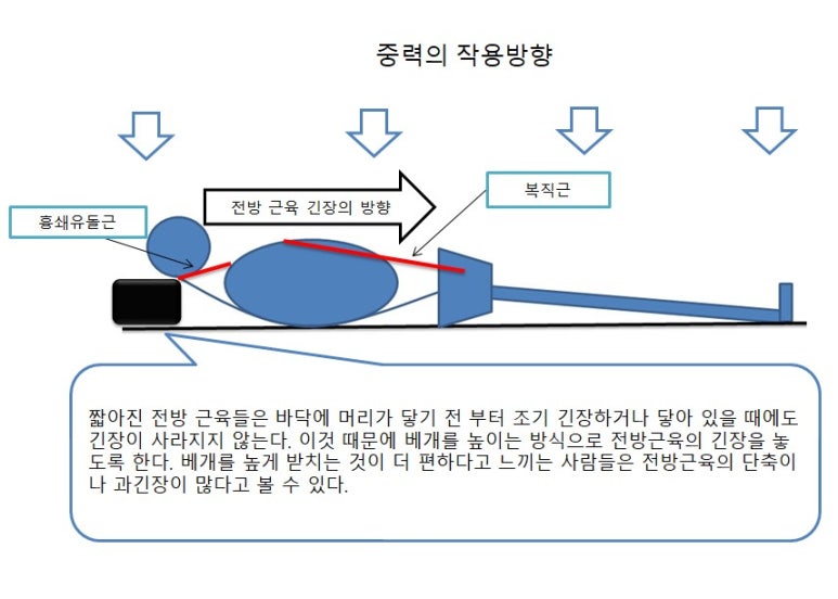 기능동작아카데미 이미지