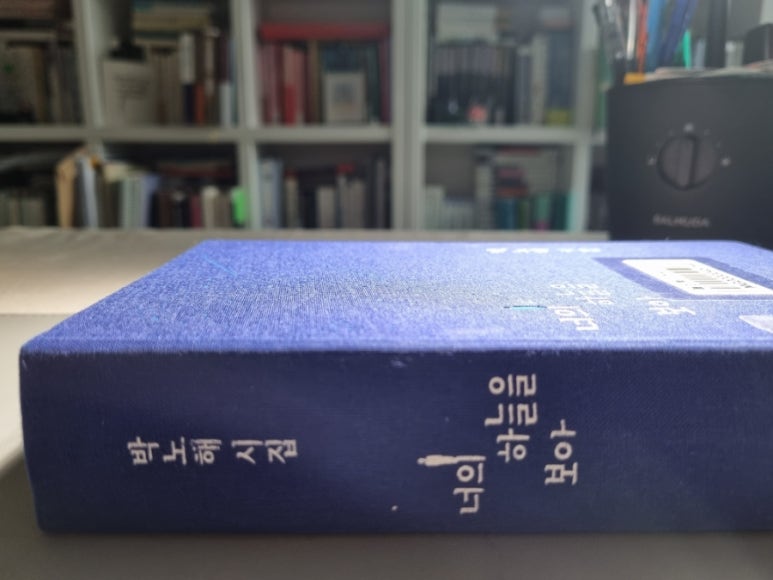 민들레세상 이미지
