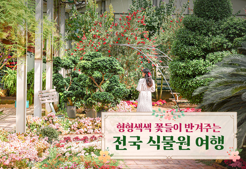 원주식물원 이미지