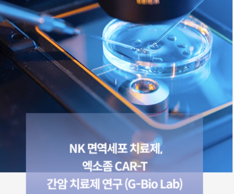 가나필아 이미지