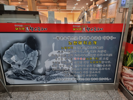 바로돼지 이미지