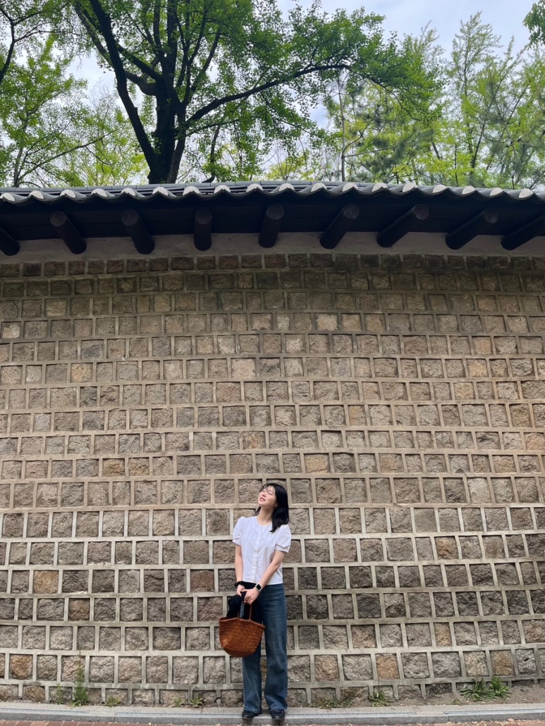 드래곤책방 이미지