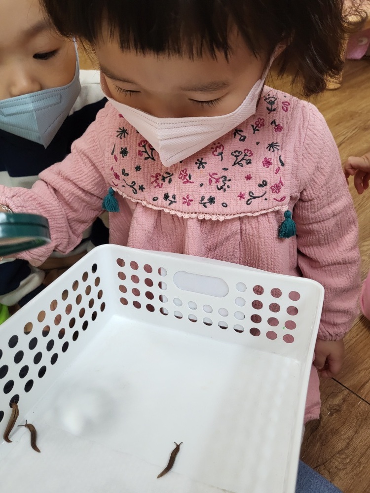 정원숲어린이집 이미지