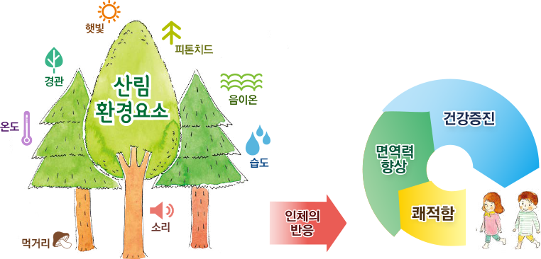 이수산림 이미지