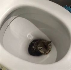 치항외과의원 이미지