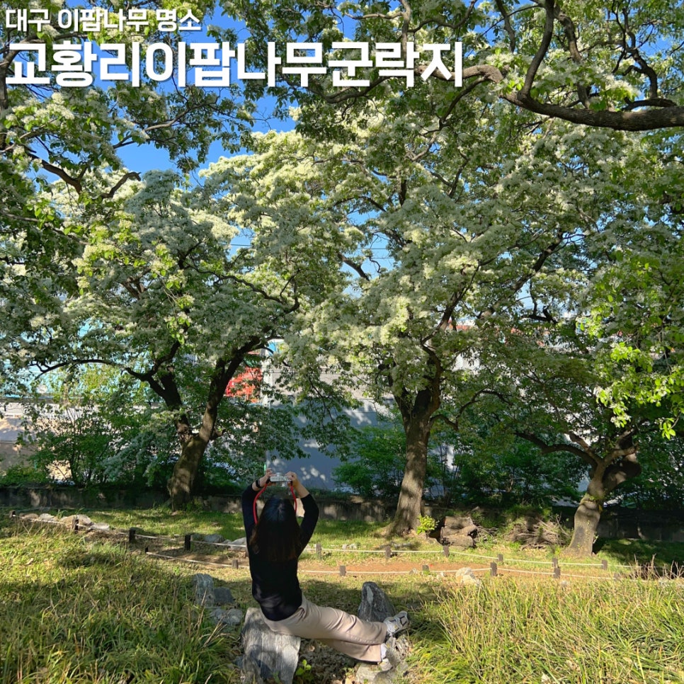 (주)고봉 이미지