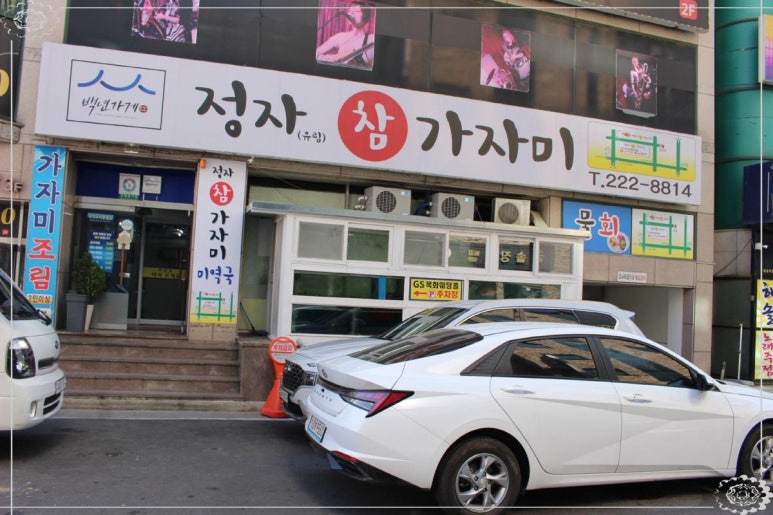 울산정자참가자미 이미지