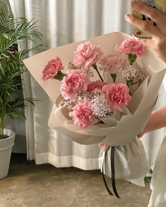플랑떼플레르 이미지