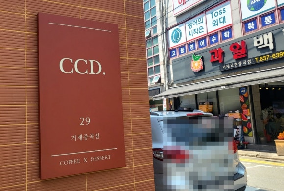카페씨씨디 이미지
