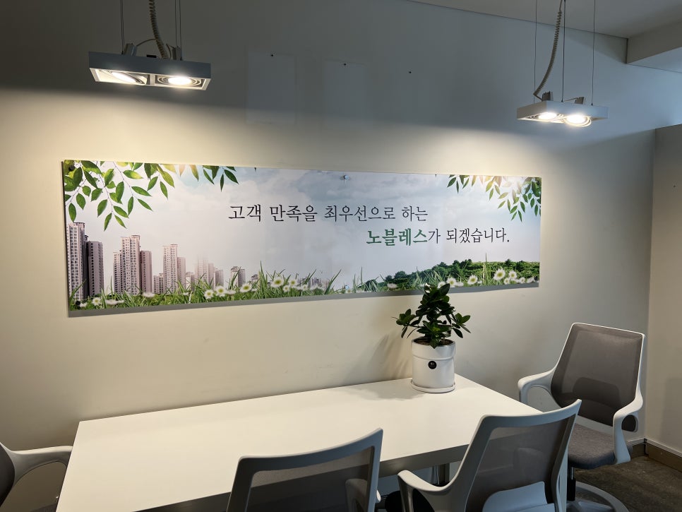 노블레스크리닝 이미지