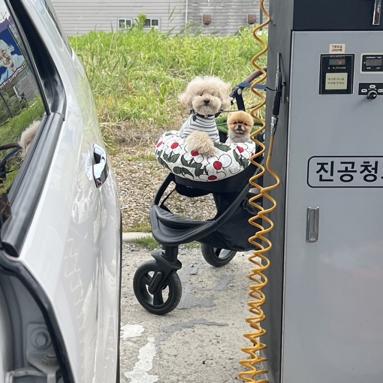 교촌치킨성성점 이미지