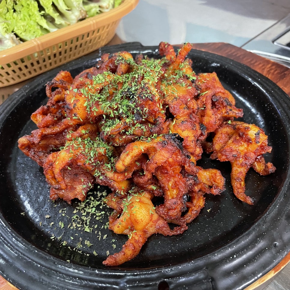 새벽닭 이미지