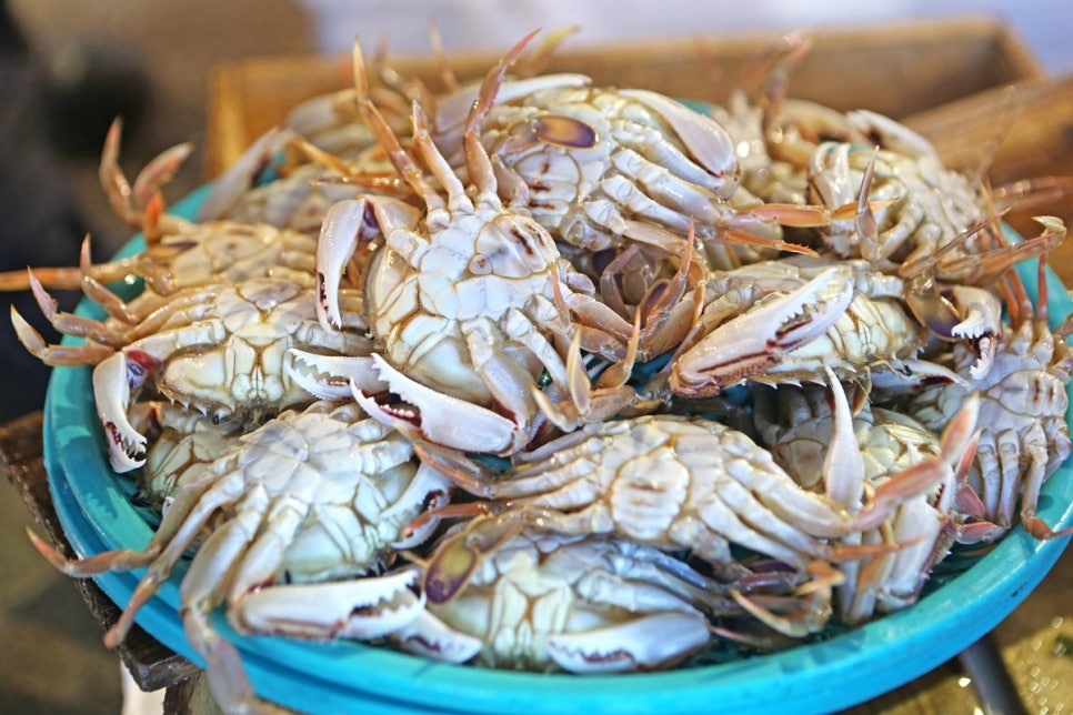 밥도둑 이미지