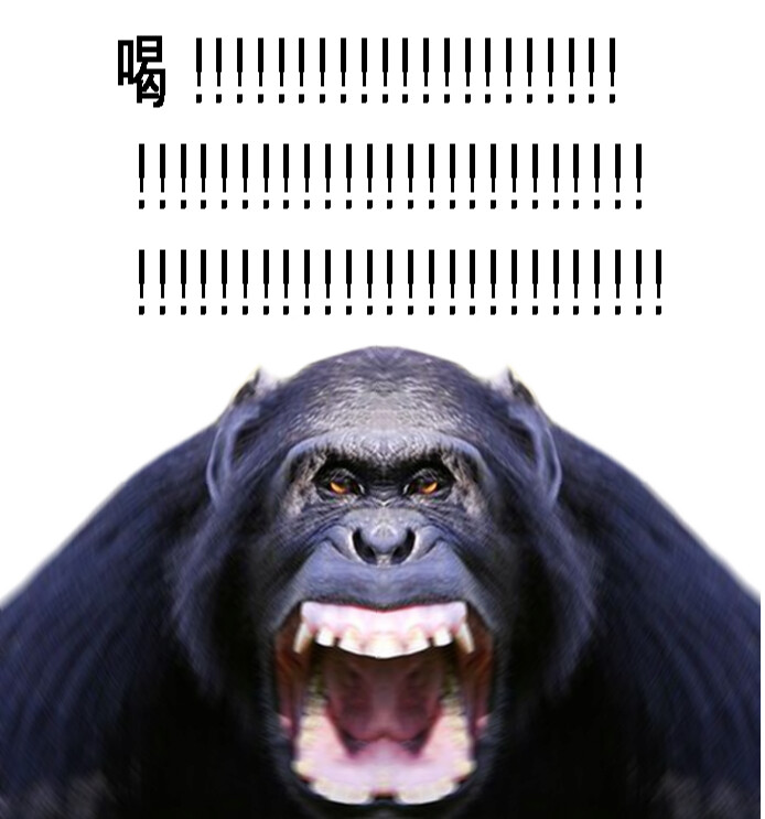 세희네 이미지