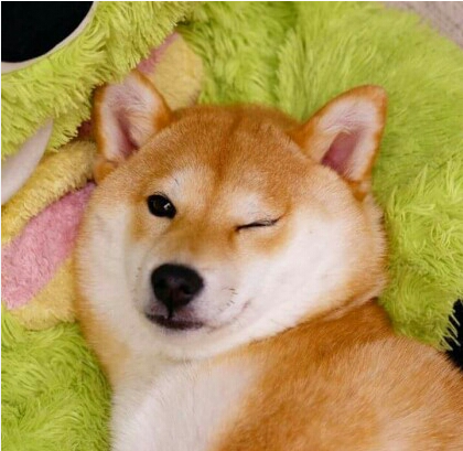 피트인피트니스 이미지