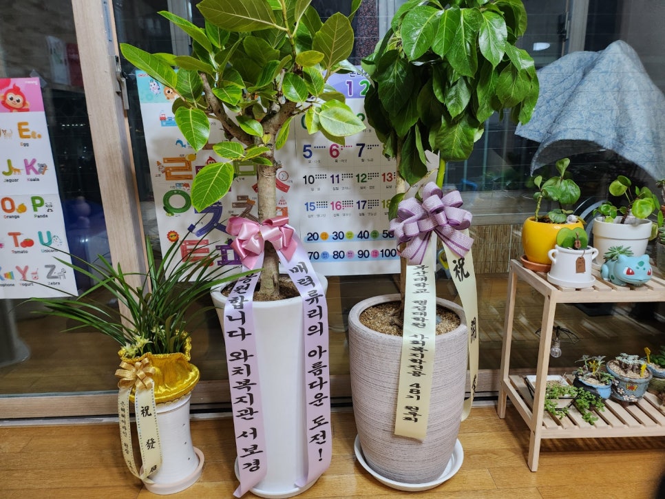 은혜헤어라인 이미지