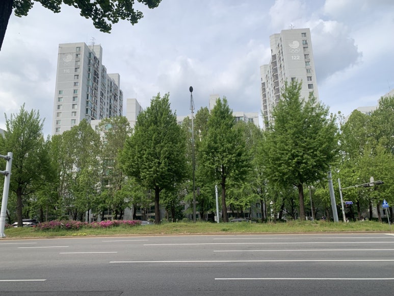 피네(P-ne) 이미지