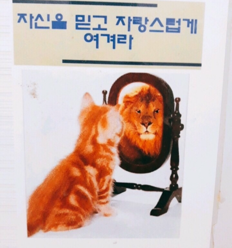 카페반디나무 이미지