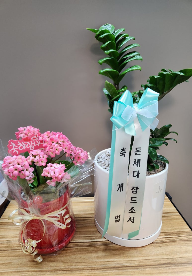 피자정 안양점 이미지