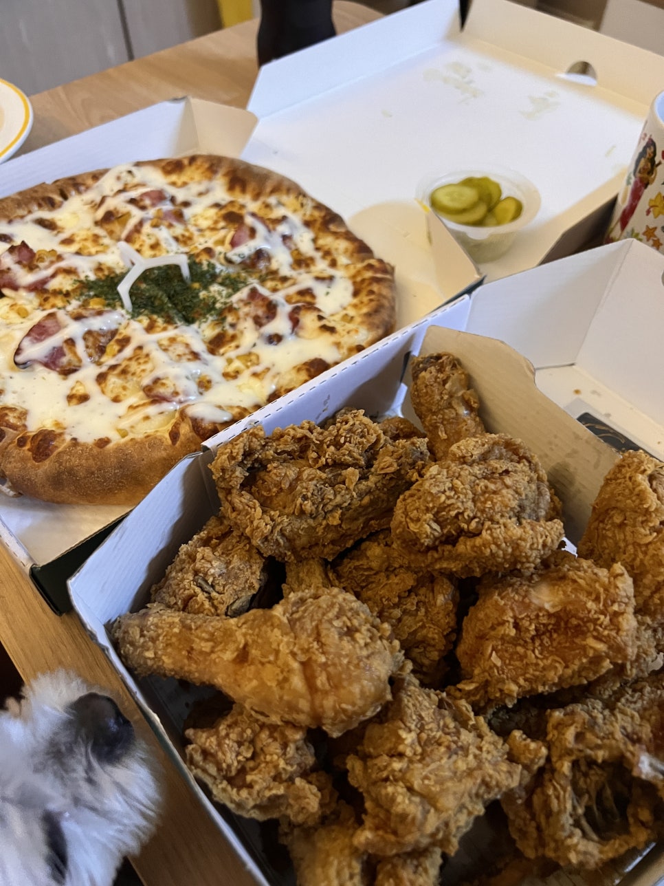 피나치공 이미지