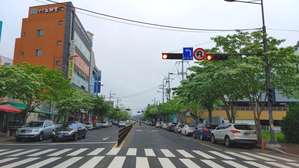 송정나무병원 이미지