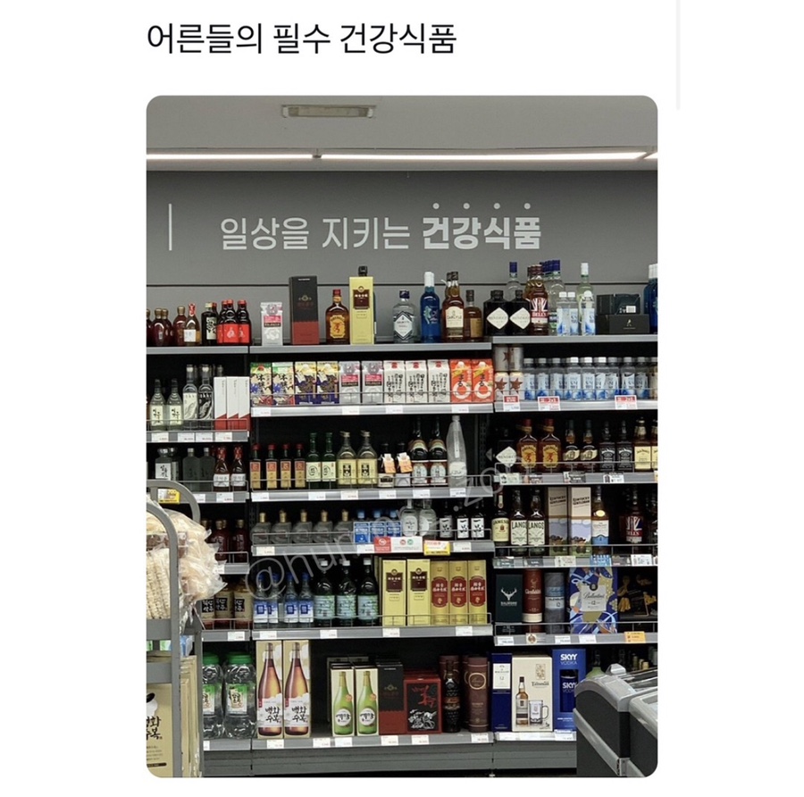리틀조이 이미지
