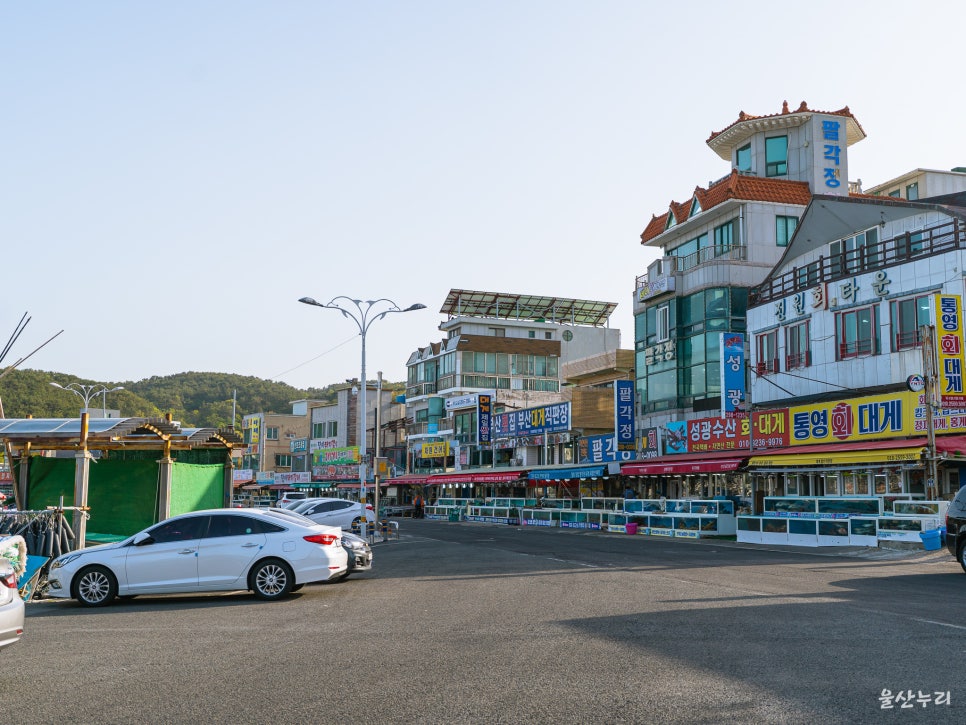 흰고래참가자미횟집 이미지