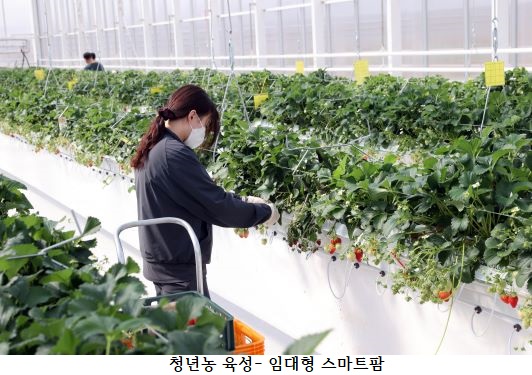 스마트뿌리컨설팅 이미지