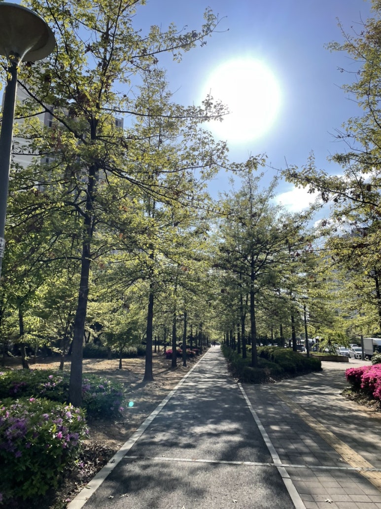 스튜디오올소 이미지