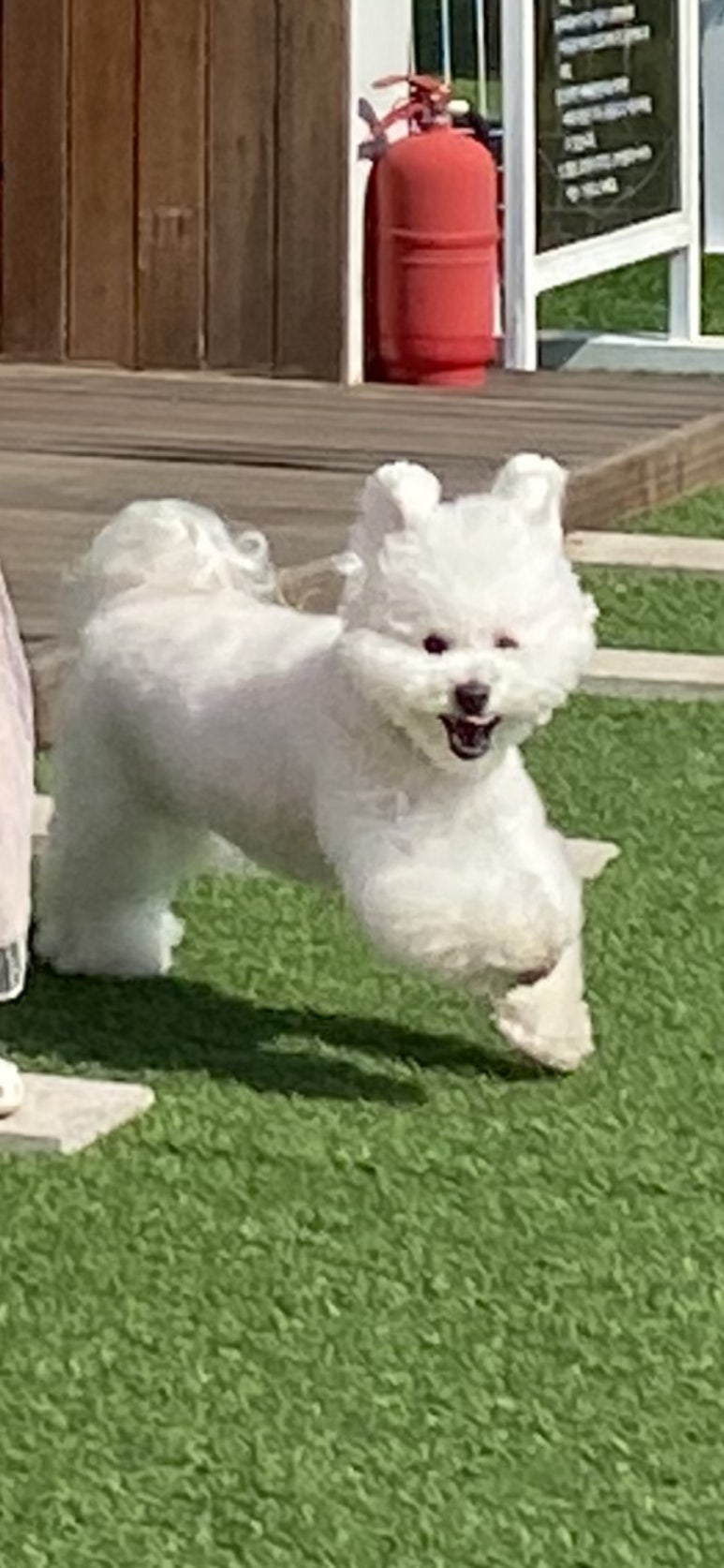 에이치제이글램핑 이미지