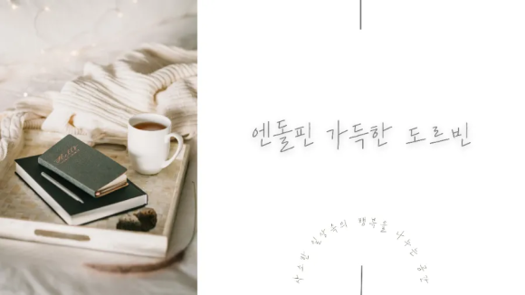 르꼬르Lecorr 이미지