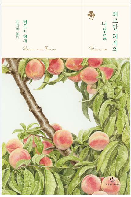 헤세의책방 이미지