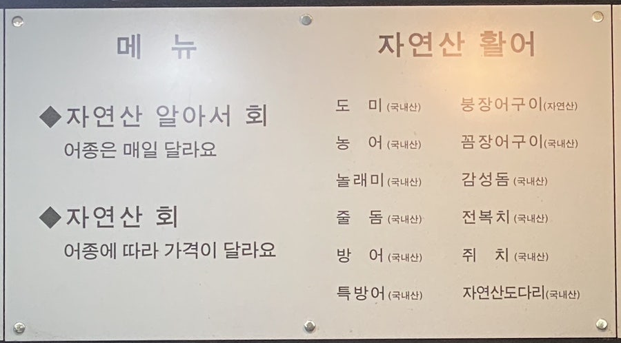 자연산회통영붕장어 이미지