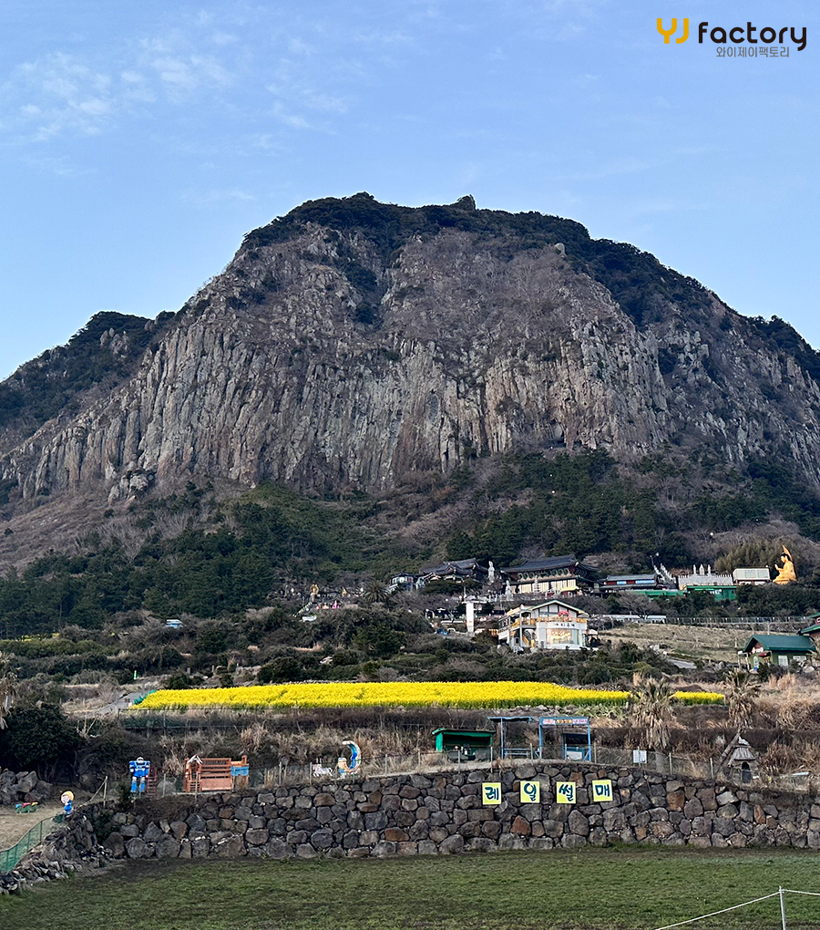 와이제이제주 이미지