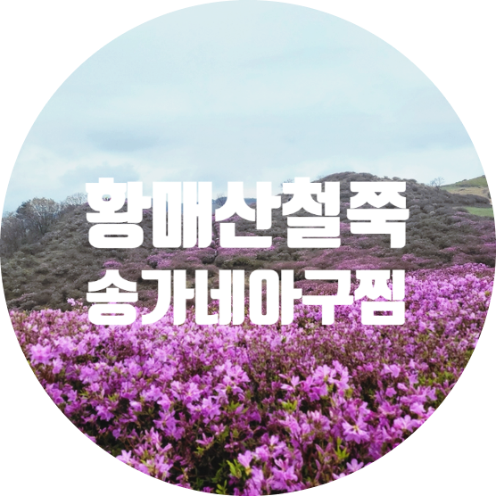 송가네아구찜 이미지