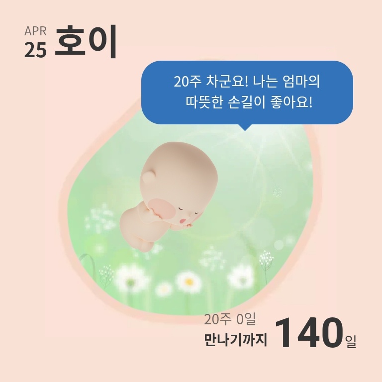 신화불닭발 민락점 이미지