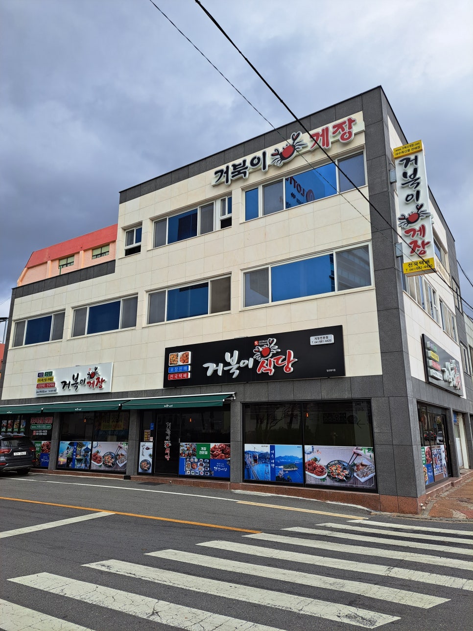 거북이 몰 이미지