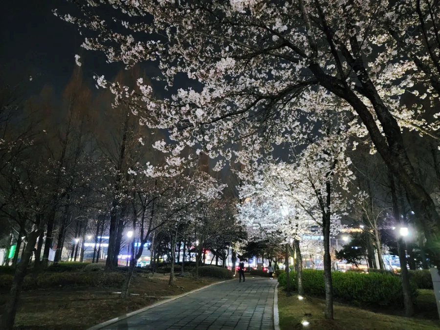 위아일만와인상회 이미지