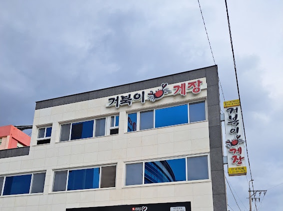 거북이 몰 이미지