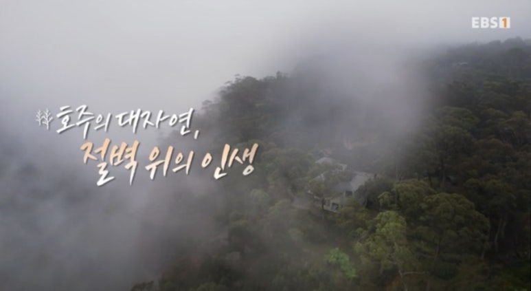 지구촌더불어숲 이미지