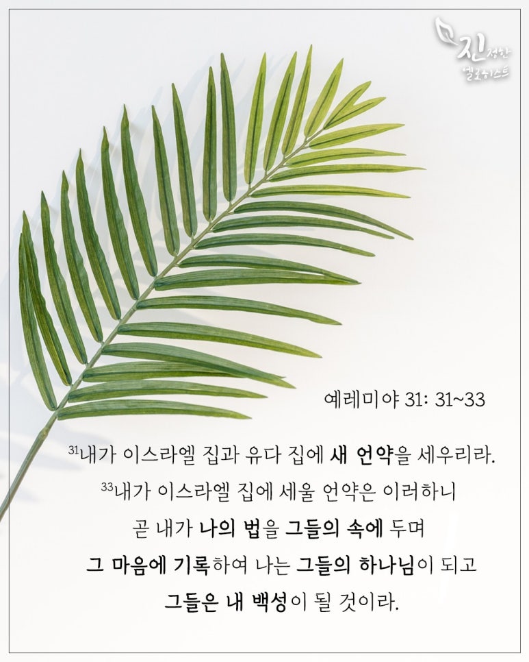 법인백성 이미지