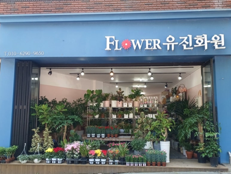 유진화원 이미지