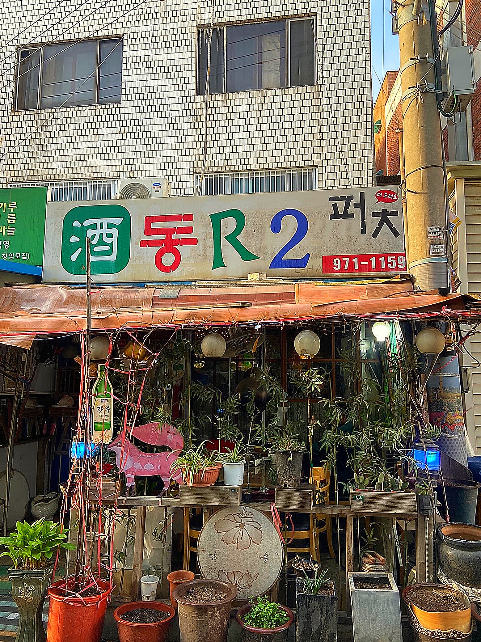 주동아리 이미지