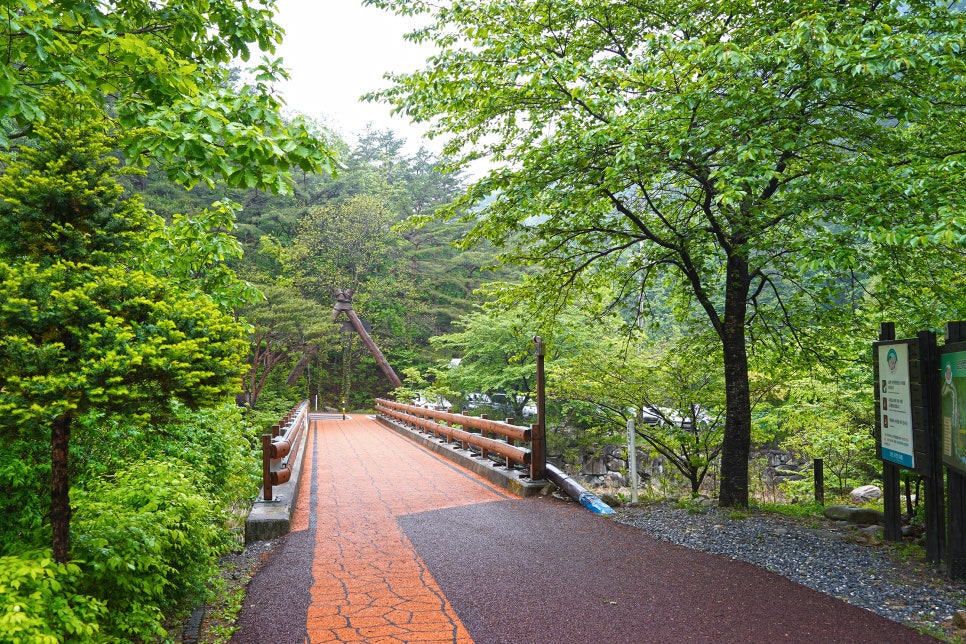소백산국립공원 남천야영장 이미지
