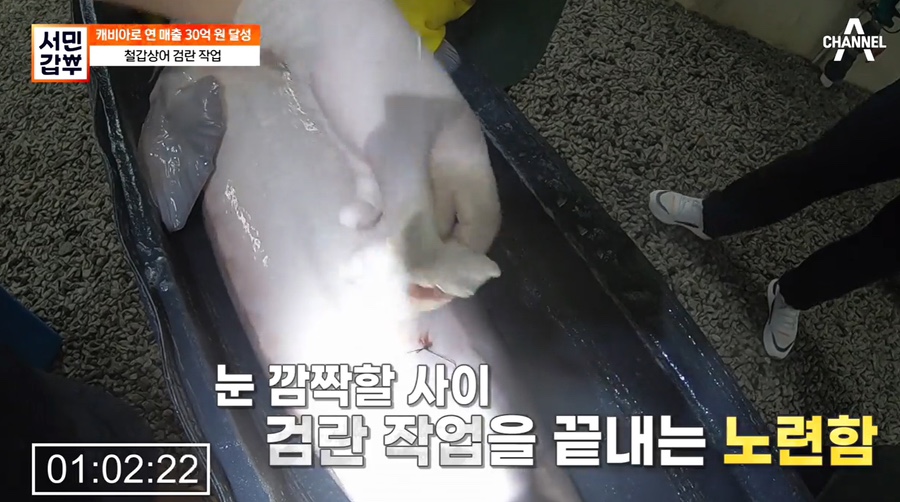 함양군 철갑상어 영어조합 이미지