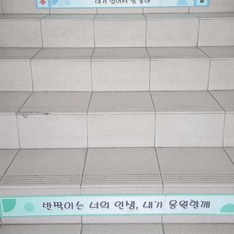 나비플라워제주 이미지