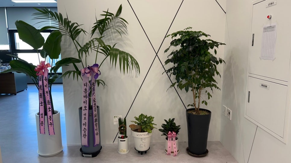 삼성세무법인 이미지