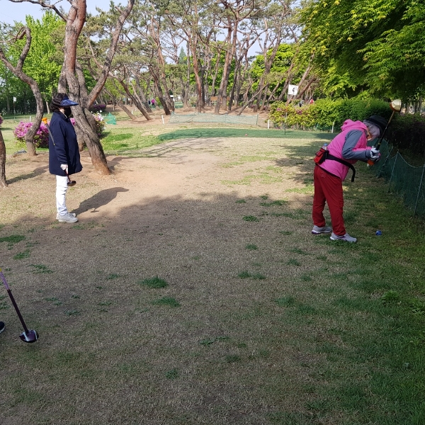 마실파크골프아카데미 이미지
